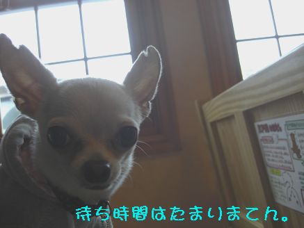カメラ 12319530