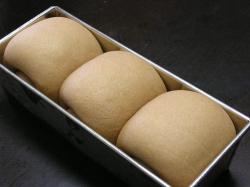 小麦ふすま食パン-発酵