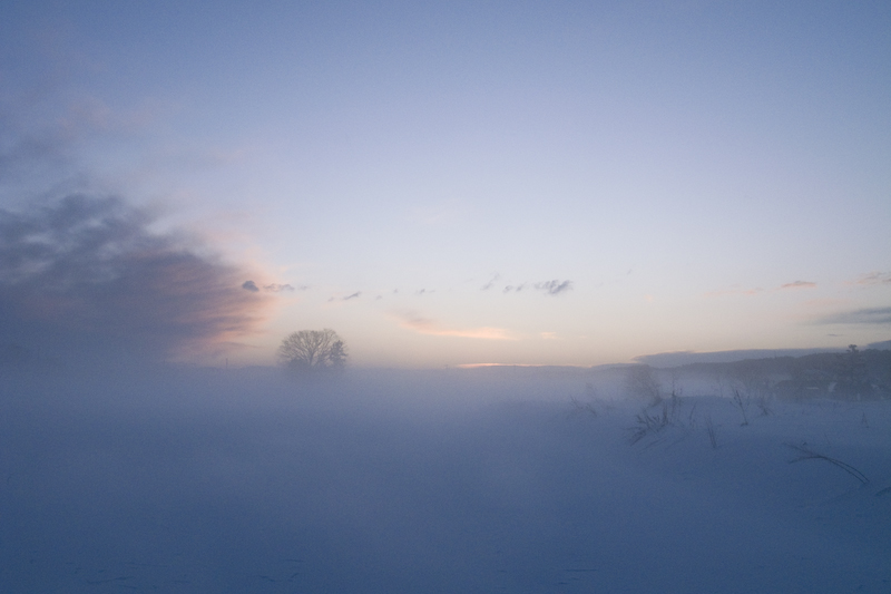 霧の雪原