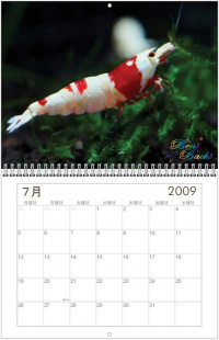 紅蜂カレンダー2009