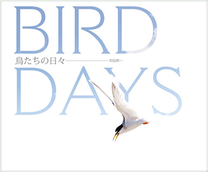 和田剛一写真集『鳥たちの日々　BIRD DAYS』