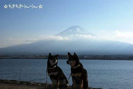 富士山⑥