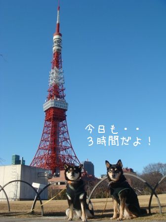 東京タワー⑤