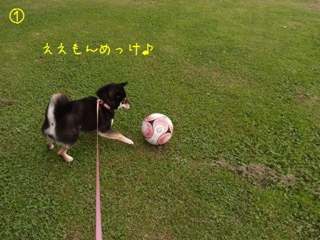凜とサッカーボール①