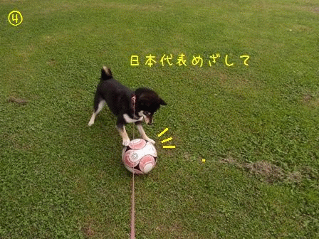 凜とサッカーボール②