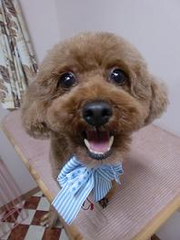 4.25あきちゃん