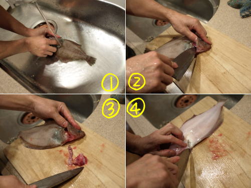 カレイの煮付け 水カレイの姿煮 魚料理と簡単レシピ