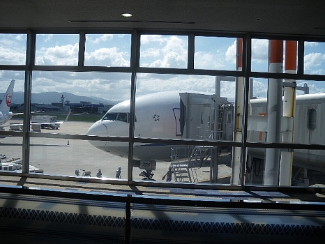 ＡＮＡ福岡―羽田便の飛行機