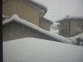 雪景色１(090116)