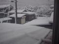 雪景色１(2009/01/24)