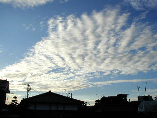 夕方の雲