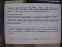 彦根城天守閣解説