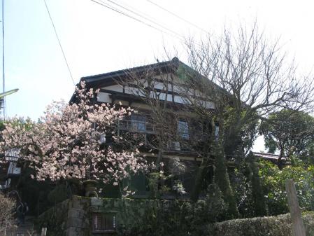 桜と・・・
