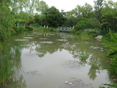 睡蓮の池