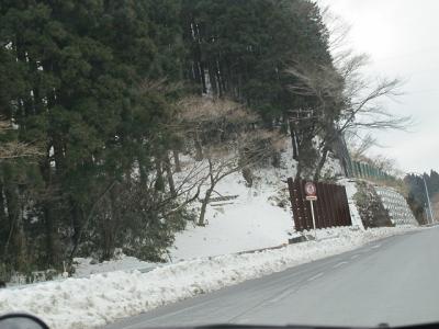 箱根の雪