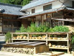 DSCF7332.jpg