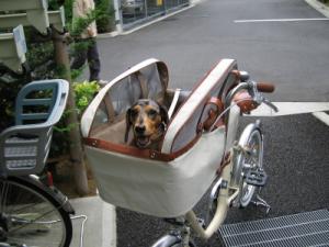 h-自転車