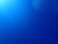 P7200011.jpg