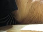 至福の時