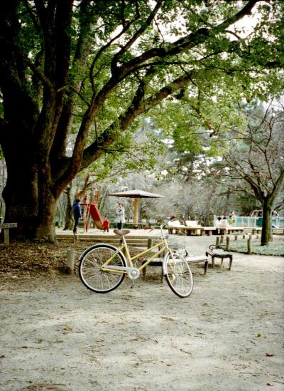 木陰と自転車
