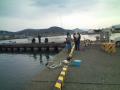 新港チアユ釣り光景