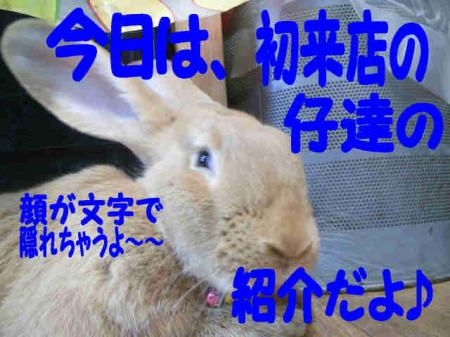 トニー　ご挨拶　2