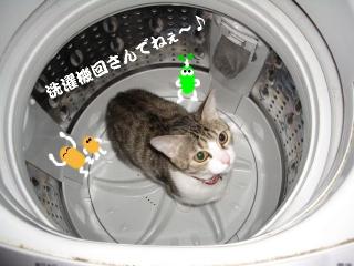 洗濯な女03
