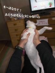 ちろみ特集02