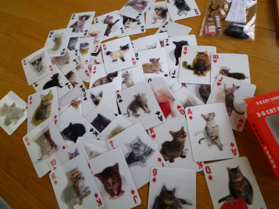 3-D CAT CARDS