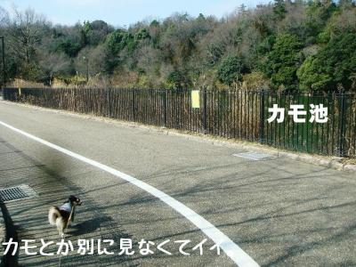 2009020604.jpg