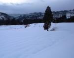 棚田の雪景色