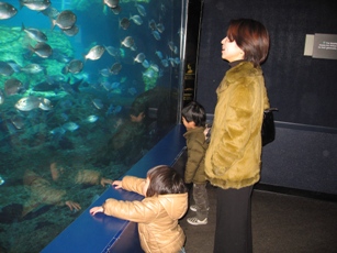 NY aquarium 1
