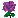 紫バラ