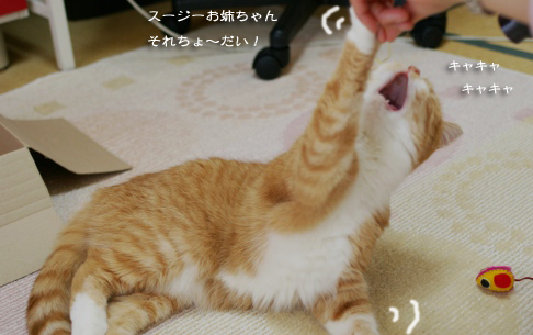 遊んで2のコピー
