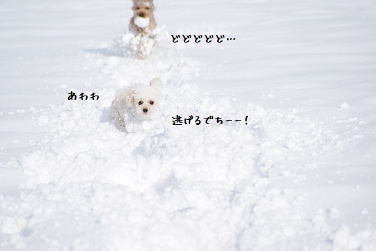 雪遊び12