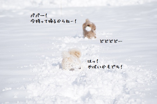 雪遊び11