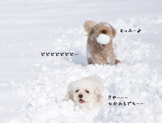 雪遊び13