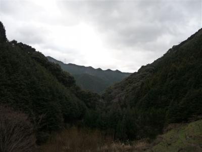 2009-02-01-010.jpg