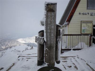 2009-02-11-082.jpg