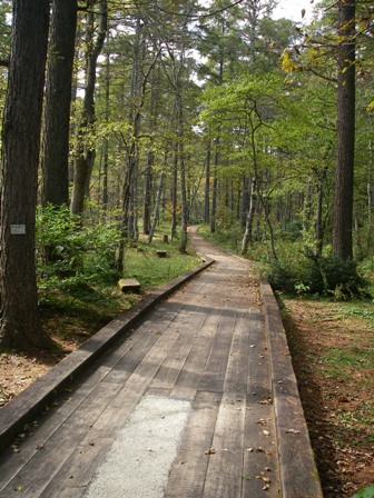 森林植物園3