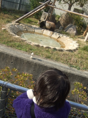 20101130王子動物園２