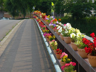 花いっぱい橋