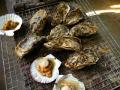 サロマ湖畔で牡蠣を食べる会