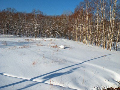 ２月１９日の雪風景
