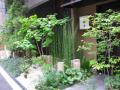 東京の庭