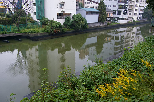 中川運河-4