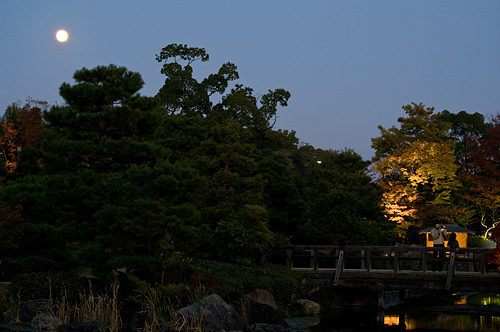 白鳥庭園2-8