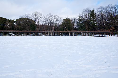 雪の名古屋城1-12