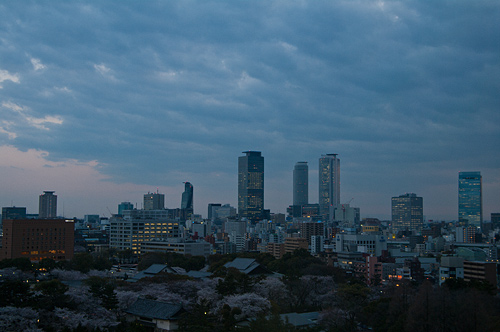名古屋城桜-9