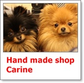 Hand made shop  Carine
